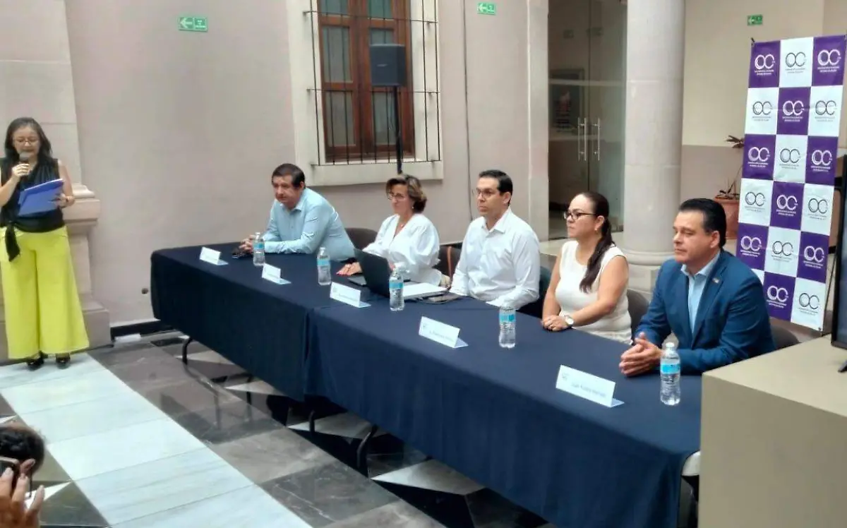 rueda de prensa del Observatorio Ciudadano (2)